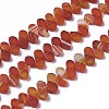 Dyed Natural Agate Beads Strands G-F595-A01-1