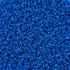 MIYUKI Round Rocailles Beads SEED-G007-RR0149F-3