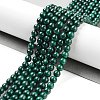 Natural Malachite Beads Strands G-I001-4mm-01-1