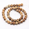 Natural Picture Jasper Beads Strands X-G-D686-4mm-2