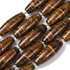 Natura Tiger Iron Beads Strands G-L654-G14-01-2