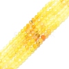 Natural Yellow Opal Beads Strands G-P457-A01-18-1