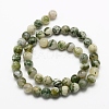 Natural Tree Agate Beads Strands X-G-K194-8mm-02-2