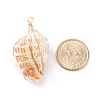 Natural Conch Shell Big Pendants PALLOY-JF01204-3