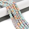 Natural Rainbow Alashan Agate Beads Strands G-NH0022-L01-01-2