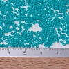 MIYUKI Delica Beads SEED-JP0008-DB0793-4