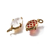 Brass Charms KK-Q043-06G-2