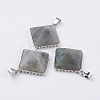 Natural Labradorite Pendants G-E442-02Q-1