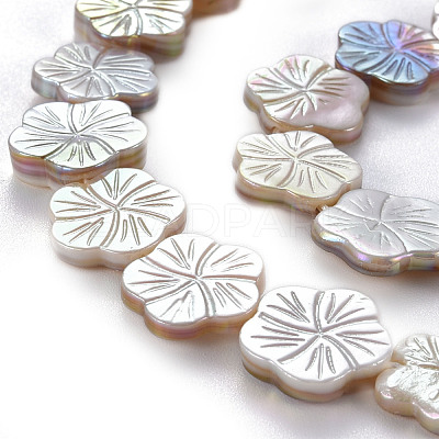 Electroplated Natural Freshwater Shell Beads Strands SHEL-N026-164-1