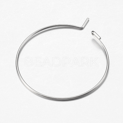 316 Surgical Stainless Steel Hoop Earrings Findings STAS-F149-32P-C-1