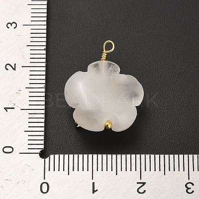 Natural Quartz Crystal Pendants G-C290-02D-1