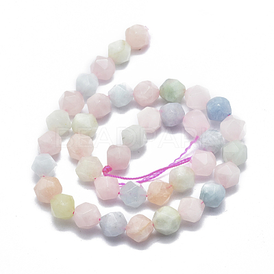 Natural Morganite Beads Strands G-K303-B03-10mm-1