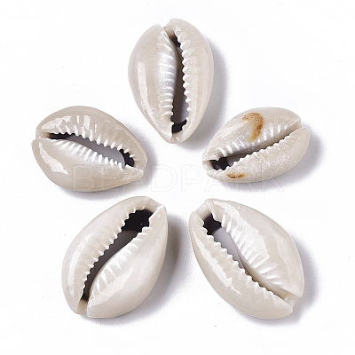 Natural Cowrie Shell Beads LS-SSHEL-N034-33-1