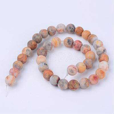 Natural Crazy Lace Agate Beads Strands G-Q462-8mm-12-1
