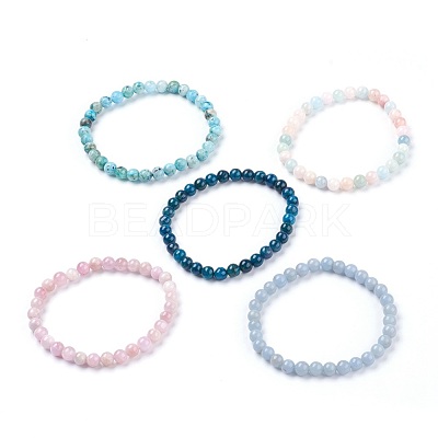 Natural Gemstone Stretch Bracelets BJEW-JB03738-1