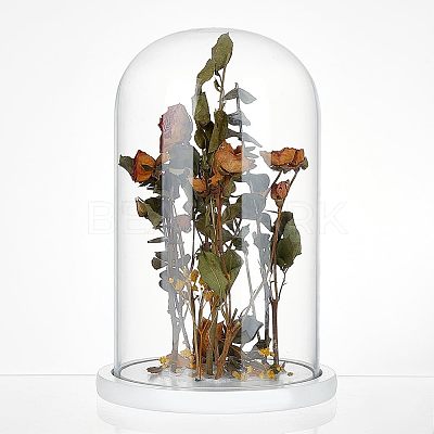 Glass Dome Cover AJEW-WH0001-95B-1