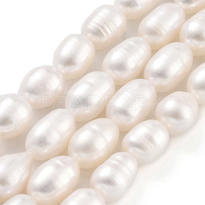 Natural Cultured Freshwater Pearl Beads Strands PEAR-P062-10C-1