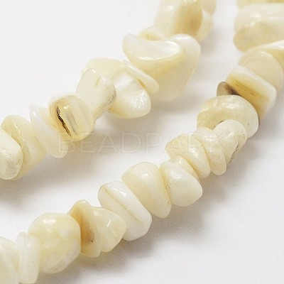 Natural Shell Beads Strands G-F328-45-1