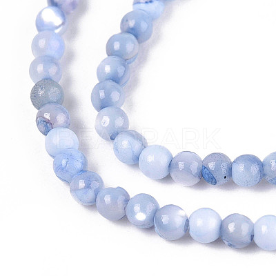 Dyed Natural Trochid Shell/Trochus Shell Beads Strands SSHEL-T017-13M-1