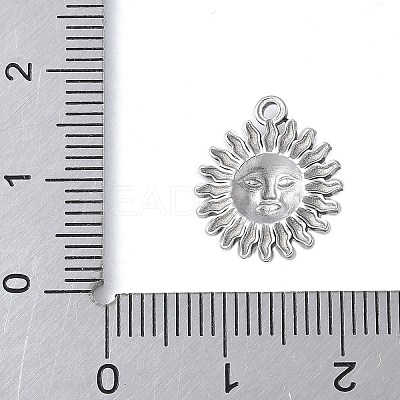 304 Stainless Steel Charms STAS-E548-06P-1