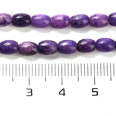 Natural Dolomite Beads Strands G-F765-A04-01-1