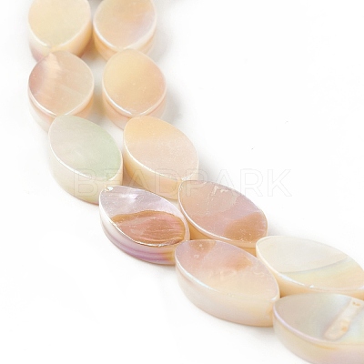 Natural Freshwater Shell Beads Strands SHEL-T009-22-1