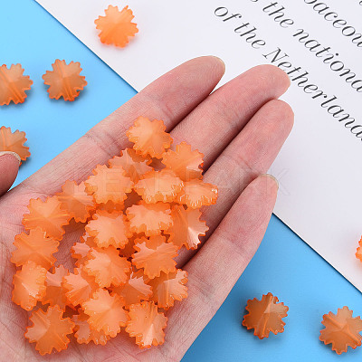 Imitation Jelly Acrylic Beads LS-MACR-S373-92-E05-1