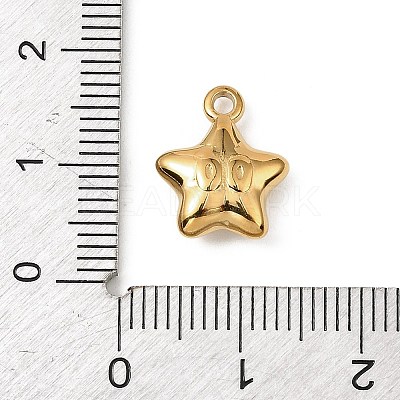 304 Stainless Steel Charms STAS-F327-03E-G-1
