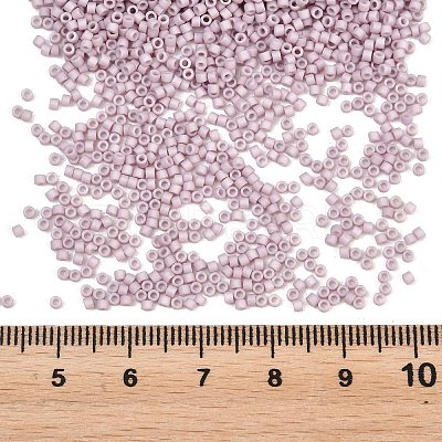 MIYUKI Delica Beads X-SEED-J020-DB0356-1