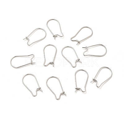 Tarnish Resistant 316 Surgical Stainless Steel Hoop Earrings Findings Kidney Ear Wires STAS-E009-6-1