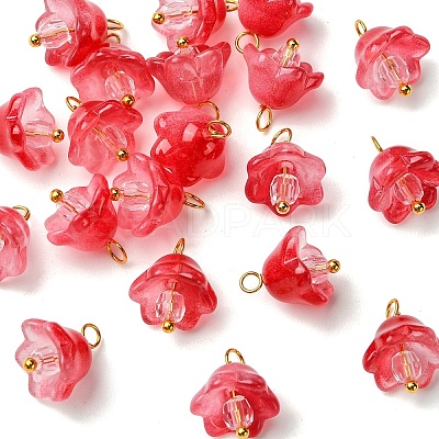 20Pcs Glass & Acrylic Flower Pendants PALLOY-YW00107-04-1