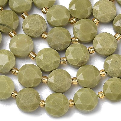 Natural Alashan Agate Beads Strands G-C116-A189-01-1