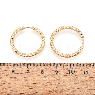 304 Stainless Steel Hoop Earrings X-STAS-T074-19G-1