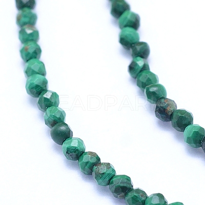 Natural Malachite Beads Strands G-I279-E15-01-1