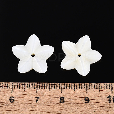 Natural Freshwater Shell Beads BSHE-T014-14-1