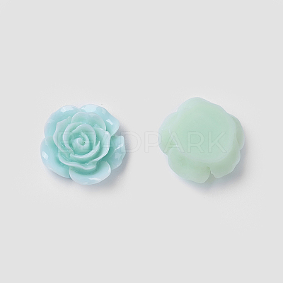 Opaque Resin Cabochons RESI-I011-M-1