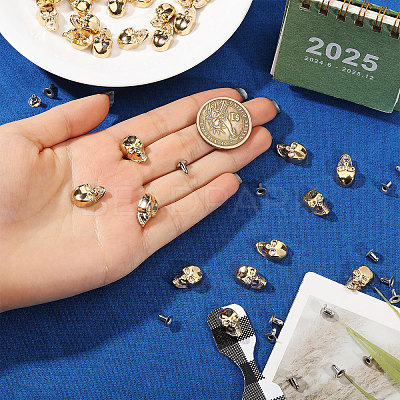 50Pcs Skull Alloy Rivets FIND-CA0011-72A-G-1