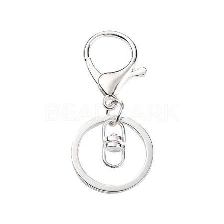 Iron & Alloy Lobster Claw Clasp Keychain KEYC-SZC0002-01S-1