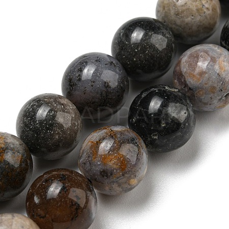 Natural Dendritic Jasper Beads Strands G-R494-A23-04-1
