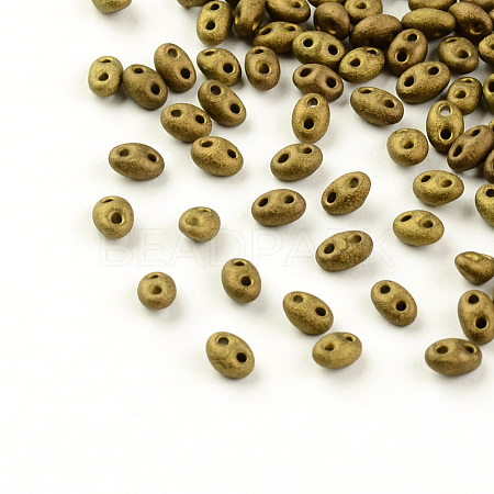 2-Hole Seed Beads X-GLAA-R159-M601-1