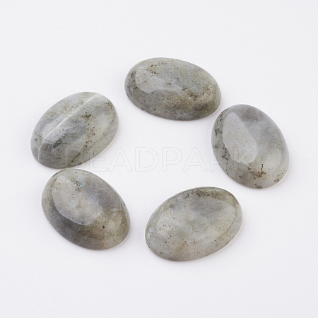 Natural Labradorite Flat Back Cabochons G-G741-18x25mm-18-1