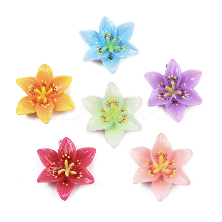 Opaque Resin Pendants CRES-D328-04-1
