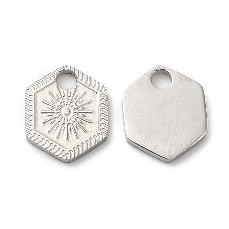 Non-Tarnish 316L Surgical Stainless Steel Charms STAS-H213-52P-1
