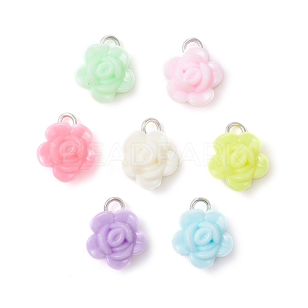 Opaque Acrylic Pendants PALLOY-JF03305-01-1