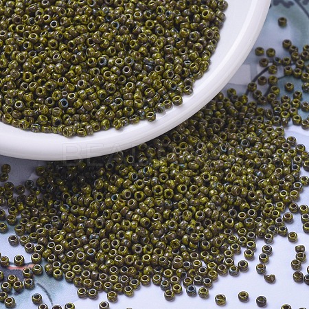 MIYUKI Round Rocailles Beads SEED-G007-RR4519-1