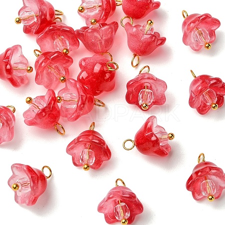 20Pcs Glass & Acrylic Flower Pendants PALLOY-YW00107-04-1
