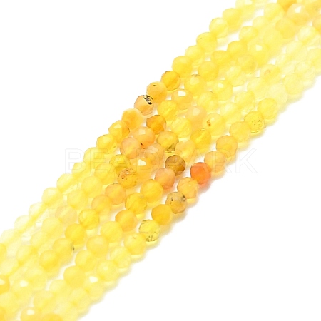 Natural Yellow Opal Beads Strands G-P457-A01-18-1