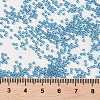 MIYUKI Round Rocailles Beads X-SEED-G009-RR0326-3