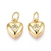 Brass Micro Pave Cubic Zirconia Charms ZIRC-R109-039-NF-1