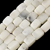 Natural White African Opal Beads Strands G-D098-D04-02-2